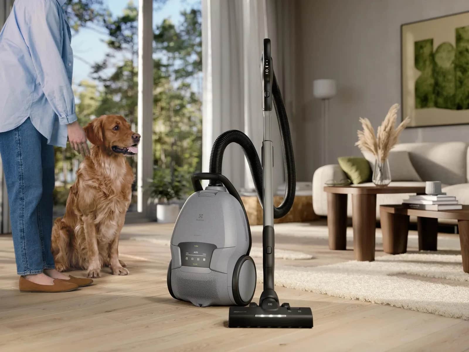 Ultimate800™ Bagged Canister Vacuum